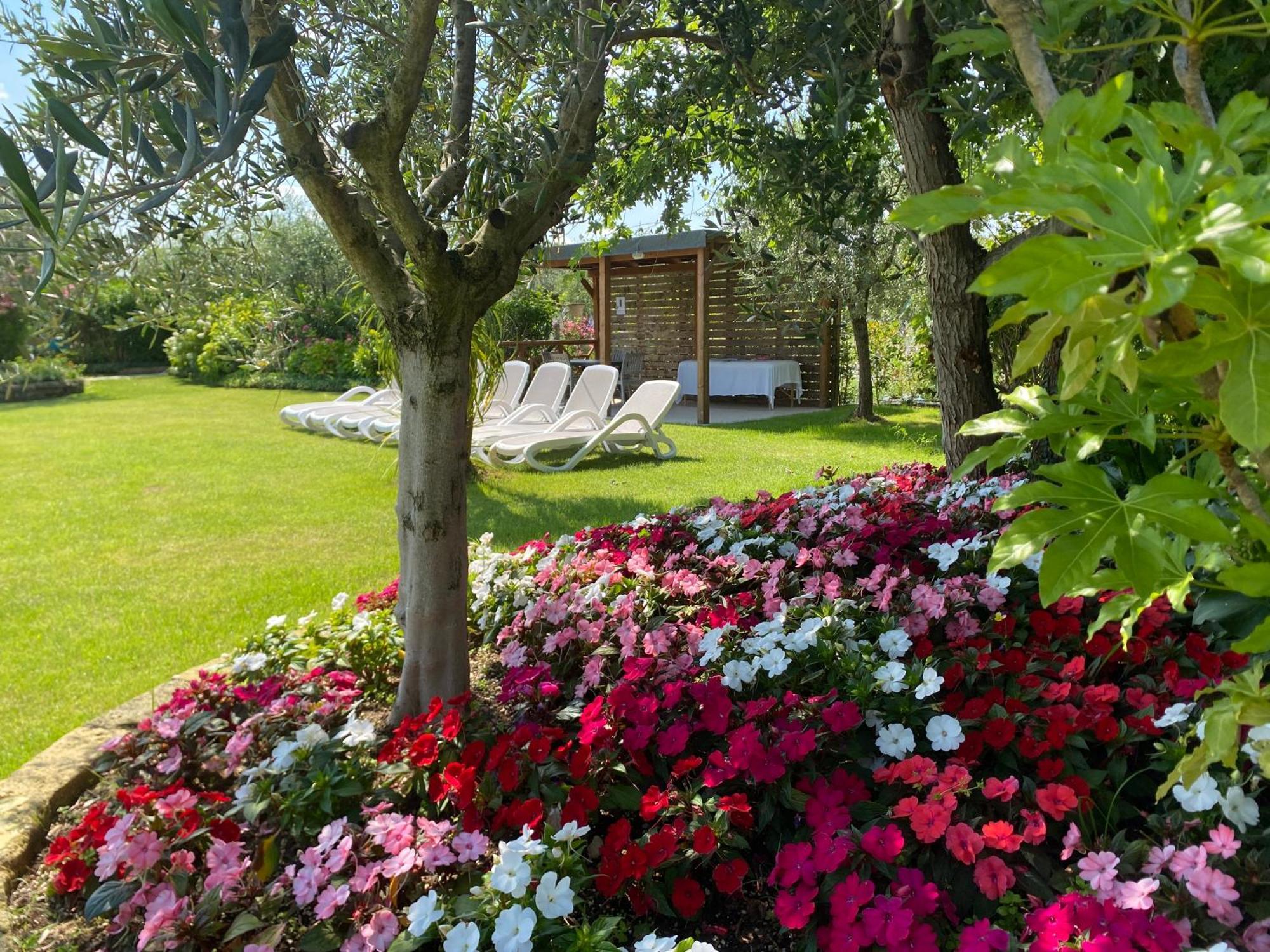 Agricampeggio Oasi Del Garda Lazise Dış mekan fotoğraf
