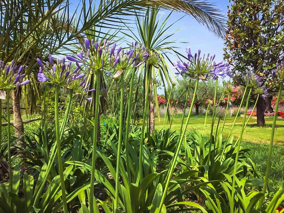 Agricampeggio Oasi Del Garda Lazise Dış mekan fotoğraf