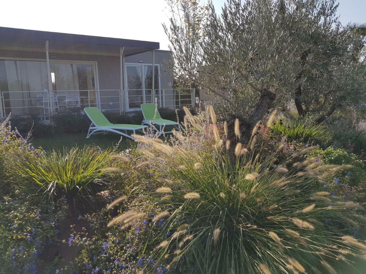 Agricampeggio Oasi Del Garda Lazise Dış mekan fotoğraf