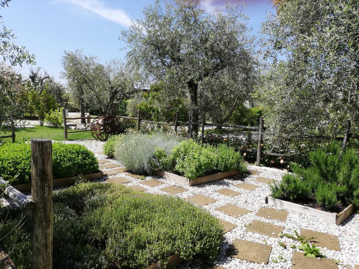 Agricampeggio Oasi Del Garda Lazise Dış mekan fotoğraf